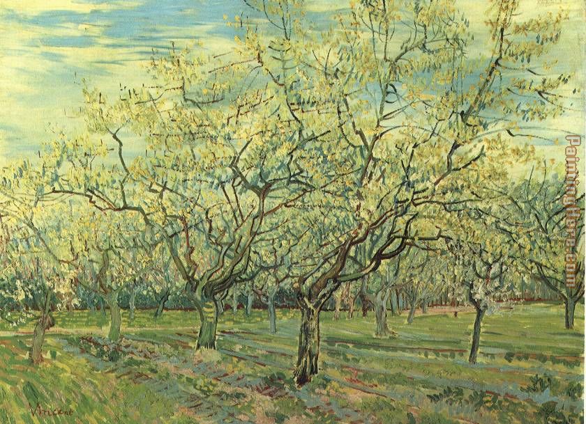 Orchard with Blossoming Plum Trees painting - Vincent van Gogh Orchard with Blossoming Plum Trees art painting